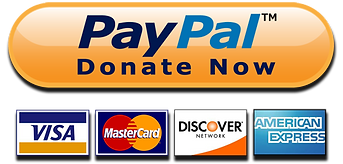 Image of a paypal donate button