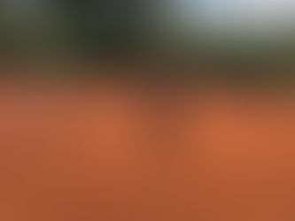 Herren weiter in der Erfolgsspur