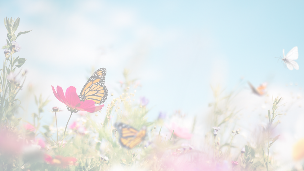 Helping youth grow, to recover, to be revived and renewed. (11).png