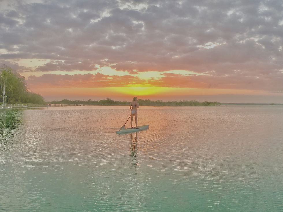 COSTERABACALARcom paddle_edited.jpg