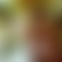 ‘O Cravo e a Rosa’ ganha sua terceira reprise na TV aberta. Vale a pena assistir?