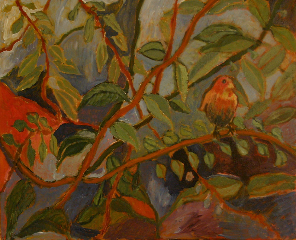 canari et lumière d'automne