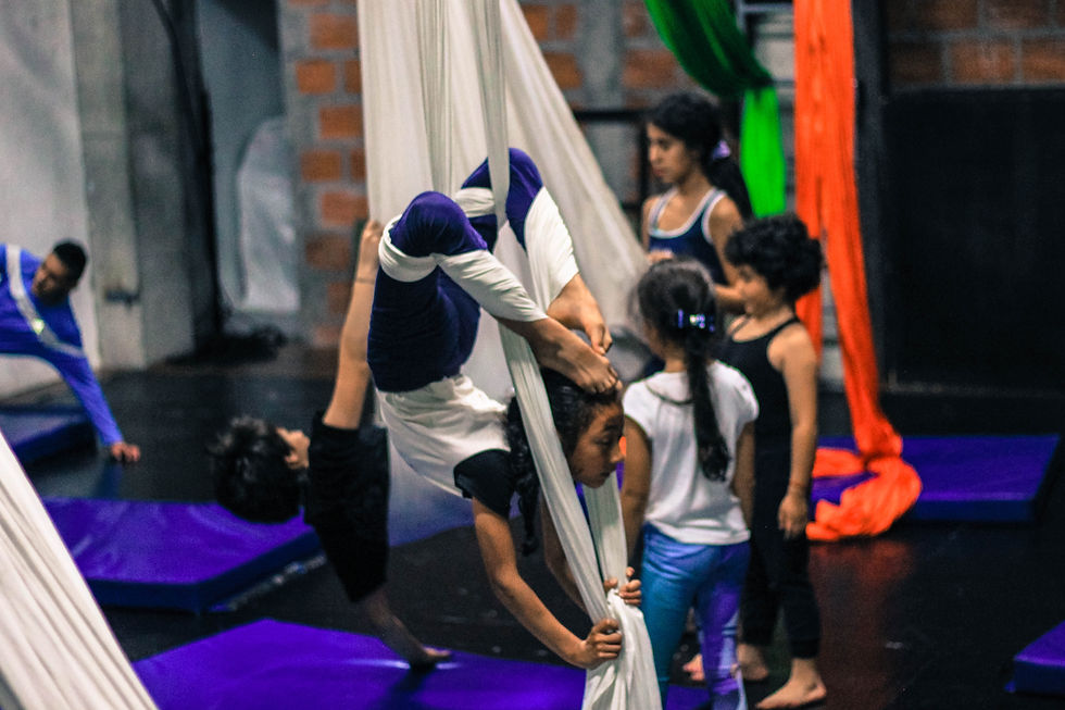 Danza aerea manizales