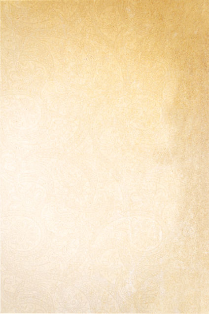 Fondo Página Web. - copia.jpg