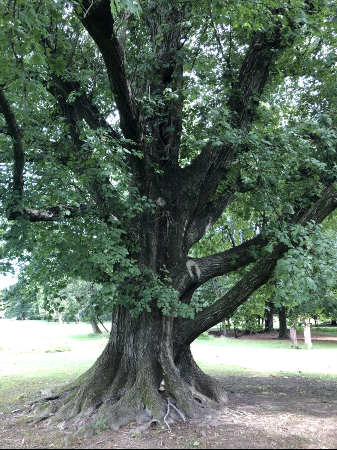 Immagine del redattore: Federico Rossetti