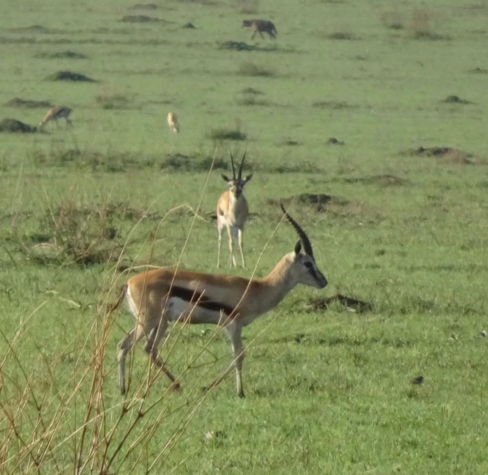 KakaoTalk_20241224_104718691_02