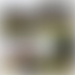 New Spartan Obstacles 2023