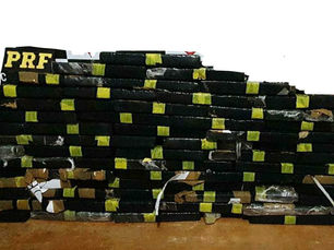 Em ação conjunta, polícias apreendem mais de 155 kg de maconha em Rondônia