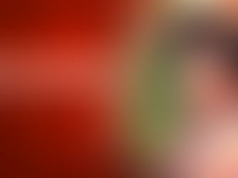 Indígenas Suruí e Cinta Larga de Rondônia lançam criptomoeda