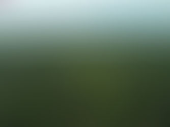 Missão diplomática faz visita à Amazônia Ocidental