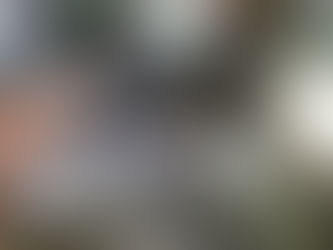 Vídeo: Prefeitos e ex-deputado presos pela PF são levados para presídios