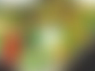 Prefeitura de Vilhena licita construção da Praça do Bodanese