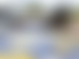 Maior do ano: PRF quase 60kg de pasta base de cocaína em Pimenta Bueno