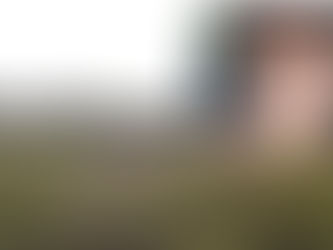 Acidente de carro mata mulher de 39 anos em Colorado do Oeste