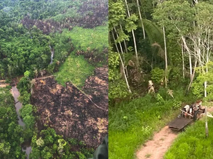 MP-RO recorre de decisão que suspendeu desocupação do Parque Estadual Guajará-Mirim.
