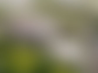 Bancada federal garante emenda para obra do novo hospital regional de Vilhena