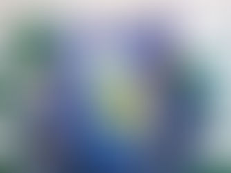 Aplicativo “Minha Emater-RO” é apresentado ao Ministério da Agricultura