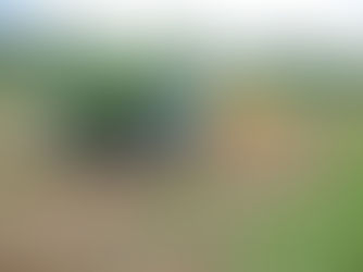 Entidades atuarão na recuperação de áreas degradadas em Rondônia