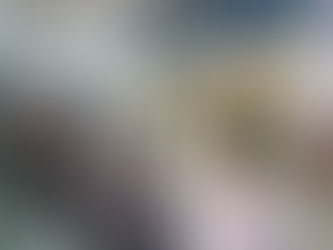 Cooperativismo expande em Porto Velho com inauguração de agência do Sicoob Credisul