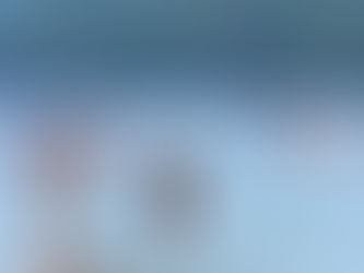 Governo de RO estuda criação de projetos destinados ao trade turístico