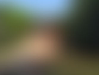 Pontes da zona rural de Vilhena são recuperadas preventivamente