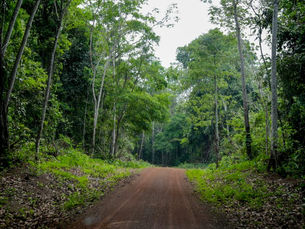 Governo lança programa de captação de recursos para a Amazônia