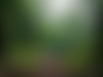 Governo lança programa de captação de recursos para a Amazônia