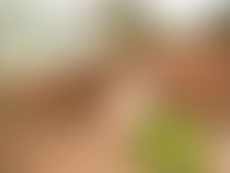 Obra para asfaltamento começa no Cristo Rei para acabar com alagamentos na Melvin Jones