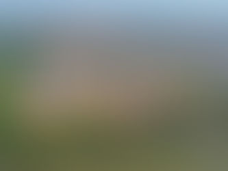 Rondônia ganha mais duas capitais regionais, segundo pesquisa do IBGE