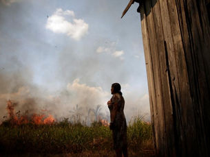 "Não sabemos sequer se indígenas isolados estão vivos"