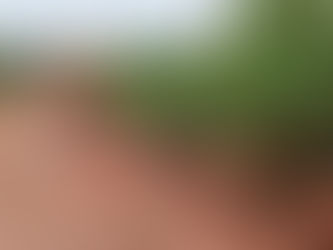 Força-tarefa da prefeitura recupera estradas e pontes danificadas por temporal histórico