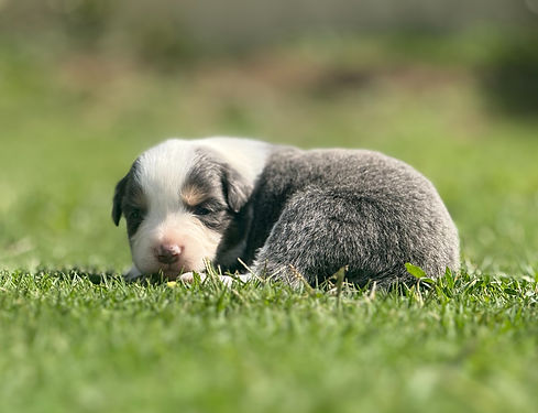 IMG_8511 (1)_edited.jpg