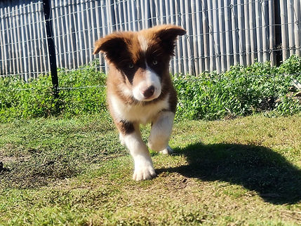 20230414_130323_resized (1).jpg