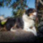 Baily  Due to Retire_edited