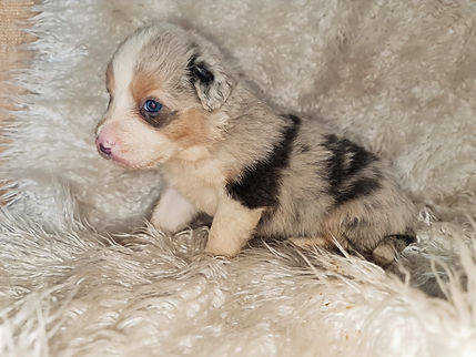 20230607_133324_resized (1)_edited.jpg