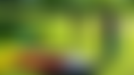 Connecting Newcomers: REACH Nature Navigator Event