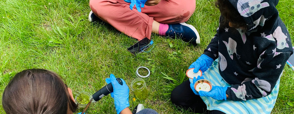 REACH youth examine their findings