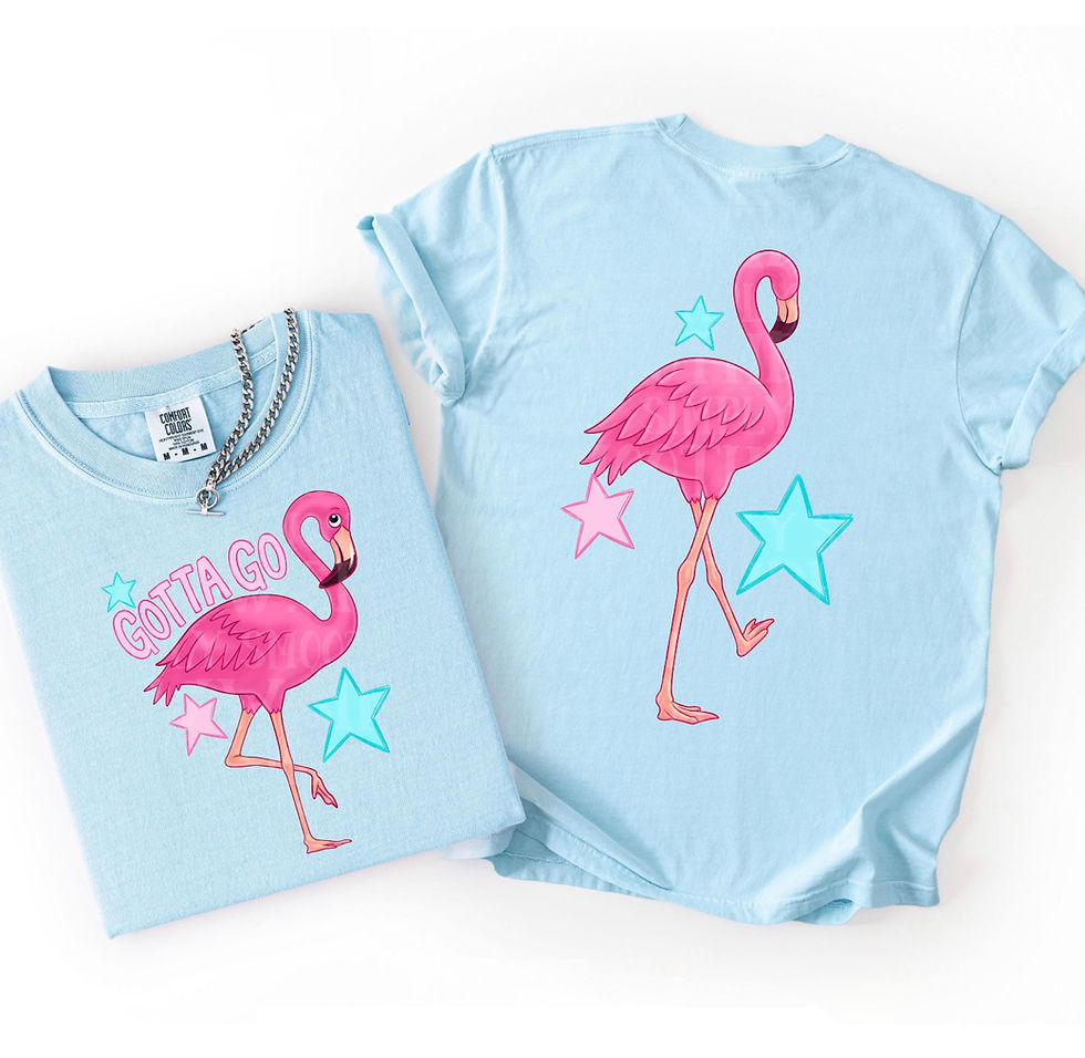 Thumbnail: Gotta go, flamingo 🦩 