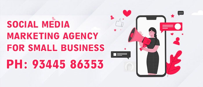 social media marketing agency for small business