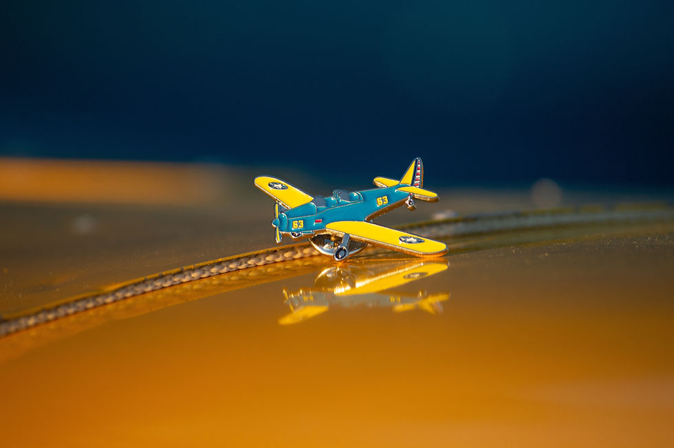 PT-19 Pin