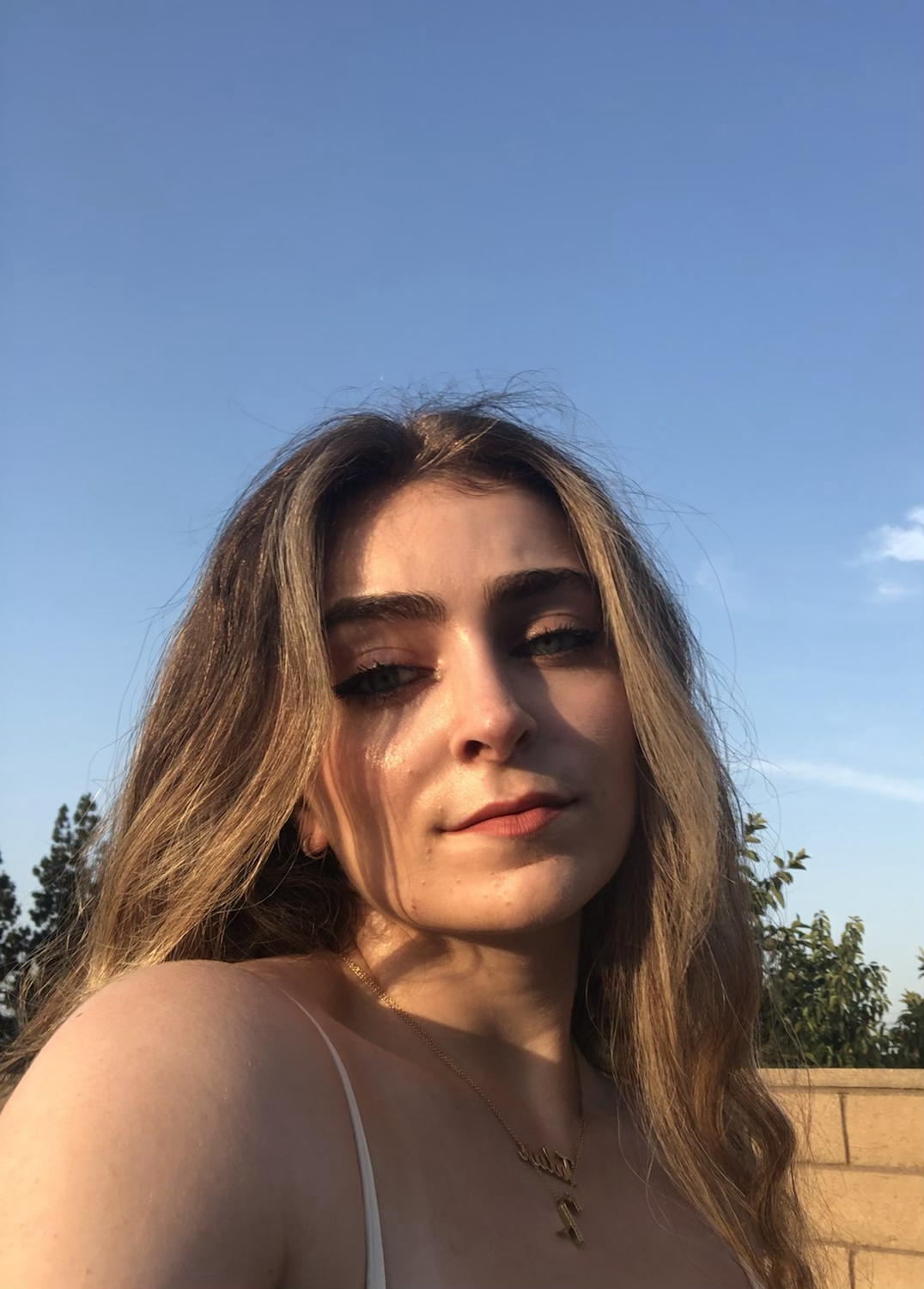 Writer: Talar Anoush Nicole