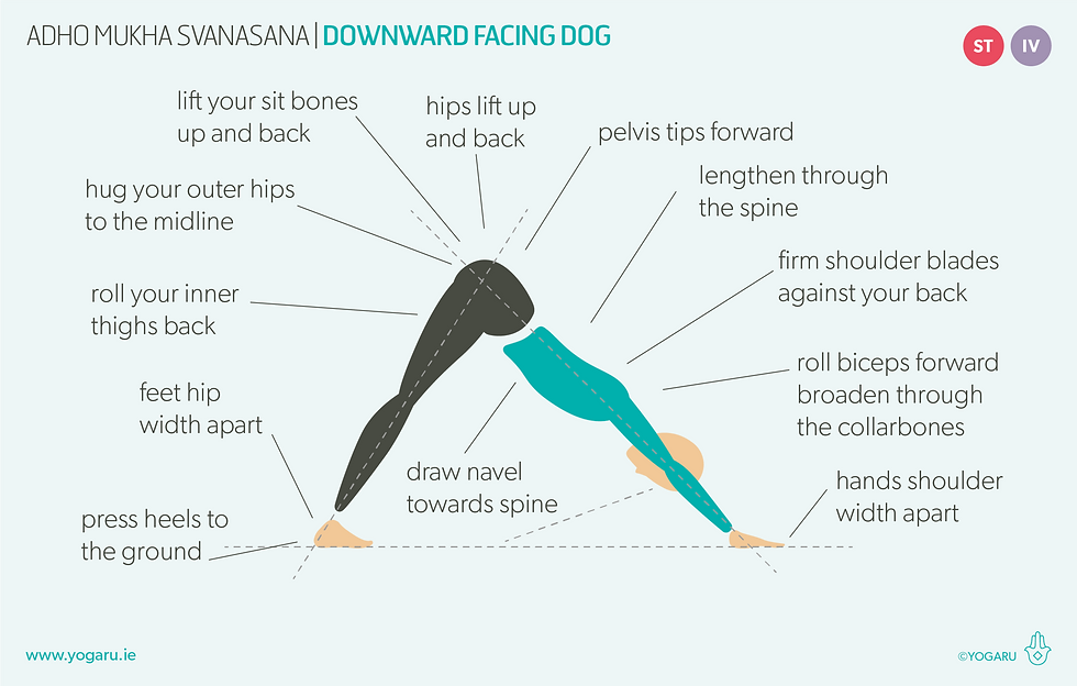 downward dog