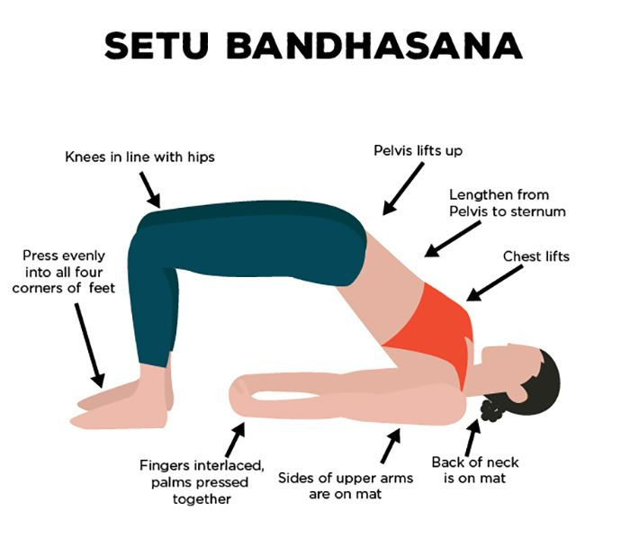 setu badhasana
