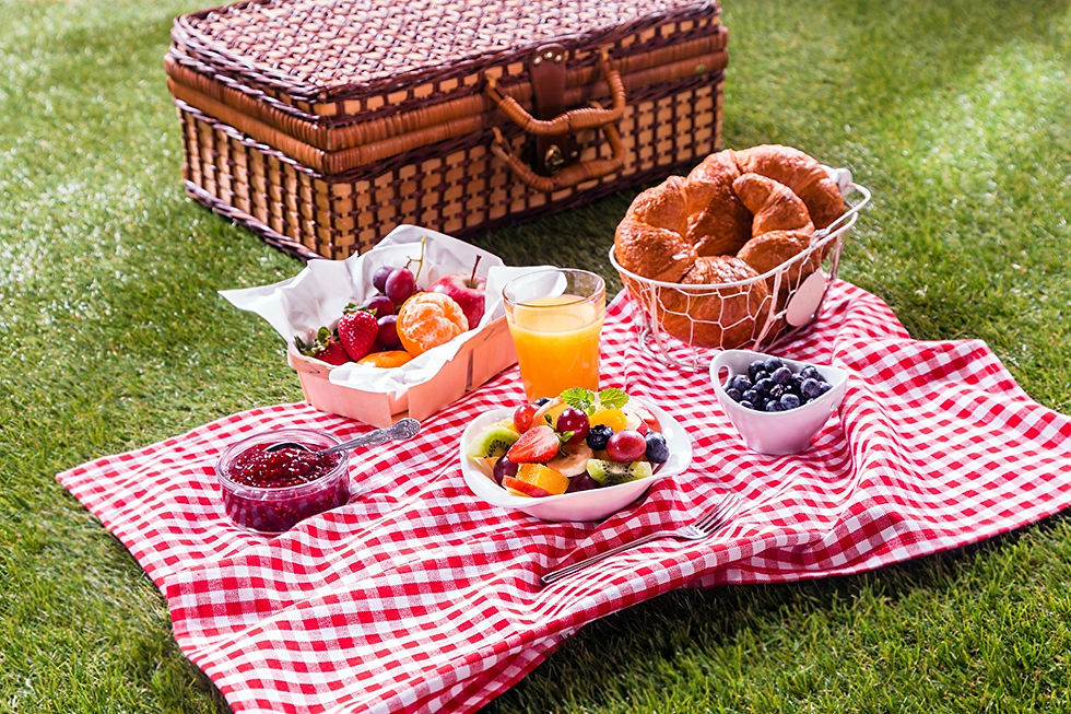 Church Picnic