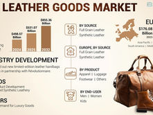 Leather Goods Market Share Analysis by Region 2025–2032