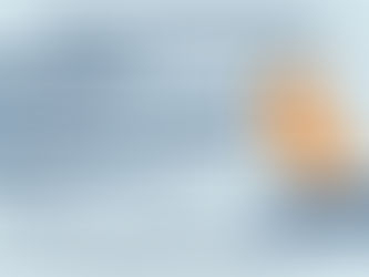 Diabetic Socks Growth Forecast with Size, Share & Trends 2025–2032