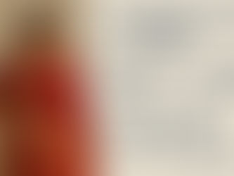 Handloom Sarees Market Growth Forecast, Size, Share & Trends 2025–2032