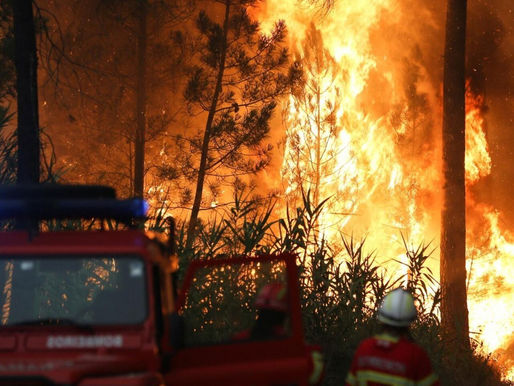 Europa enfrenta ola de calor sin precedentes: Francia, España e Italia bajo presión por incendios, cierres y muertes