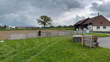 007860DE-1915-4590-86ED-17D0A79A681A.jpeg