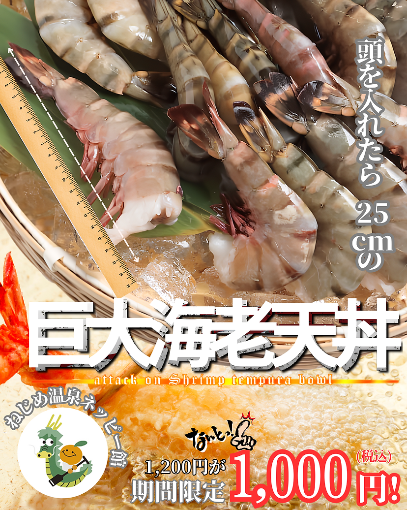 ネッピー館チラシ関連 (3).png